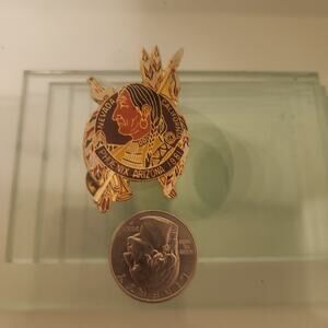 Vintage 1981 Lions Club Nevada California Phoenix AZ Pin Native American